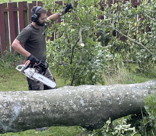 Papir laves hovedsageligt af træ